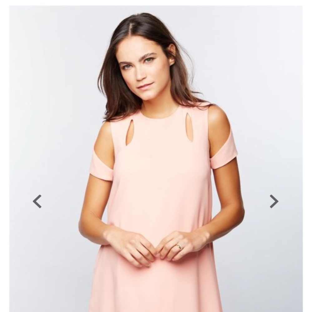BCBG maternity dress